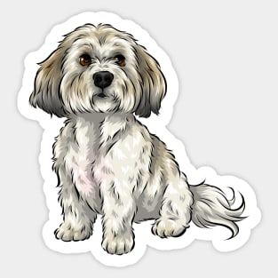 Cute Shichon Dog | Zuchon | Bichon Frise Shih Tzu cross Sticker